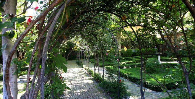 Mantenimiento de jardinería en Madrid